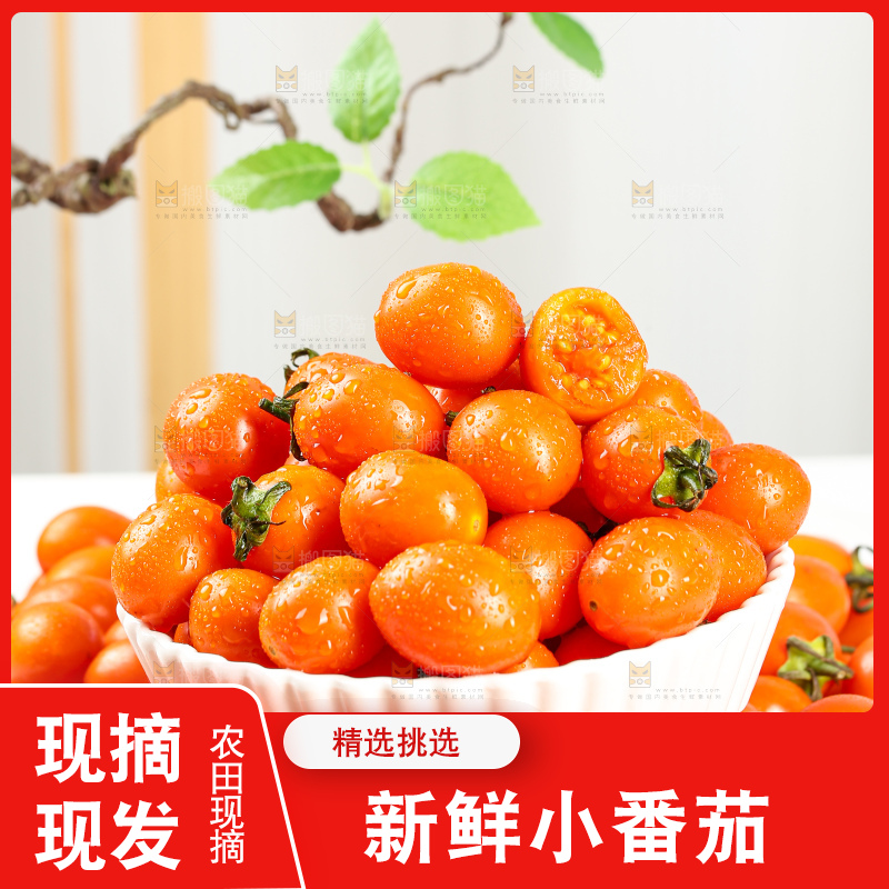 浅底上的小番茄