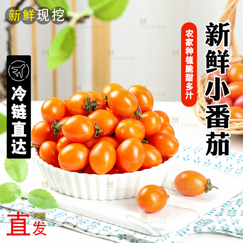 浅底上的小番茄