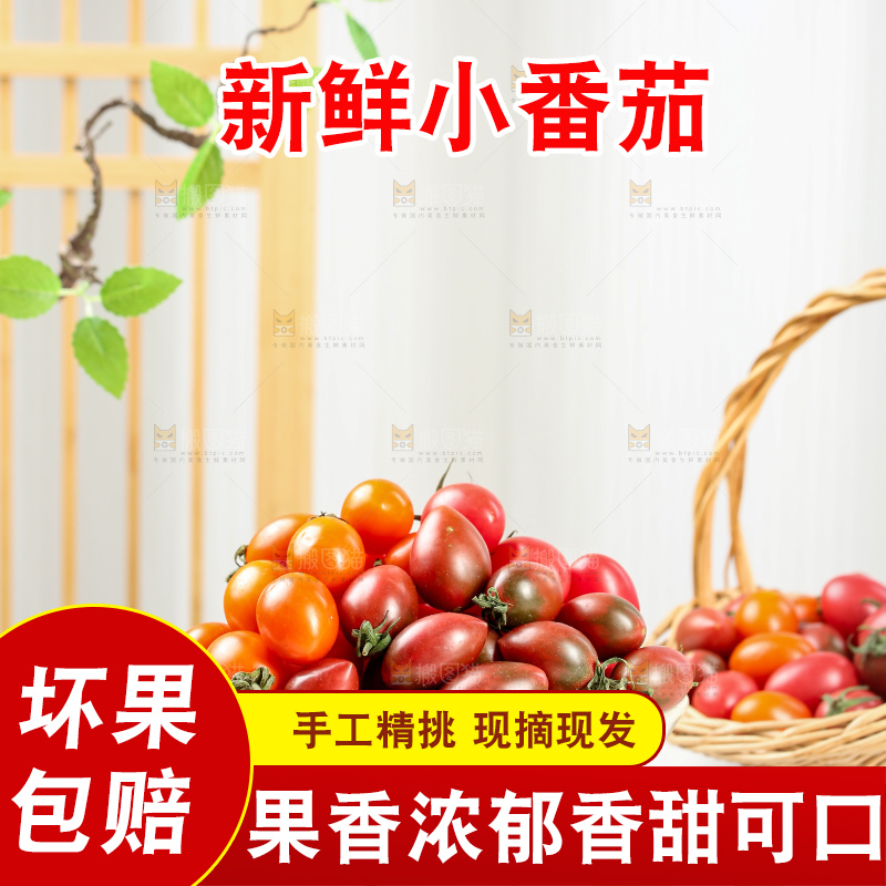 浅底上的小番茄
