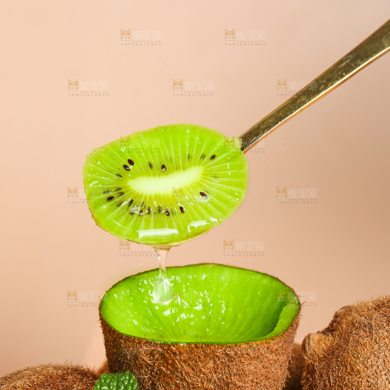 浅底上的修文猕猴桃