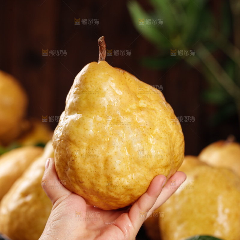 深底上的丑梨