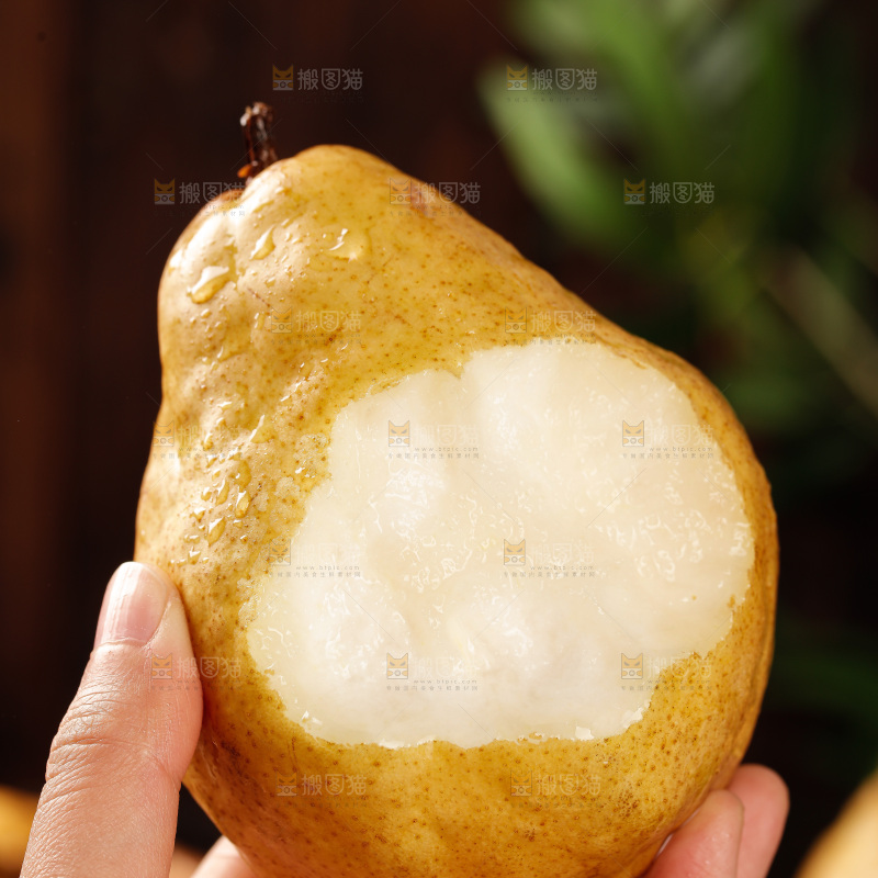 深底上的丑梨