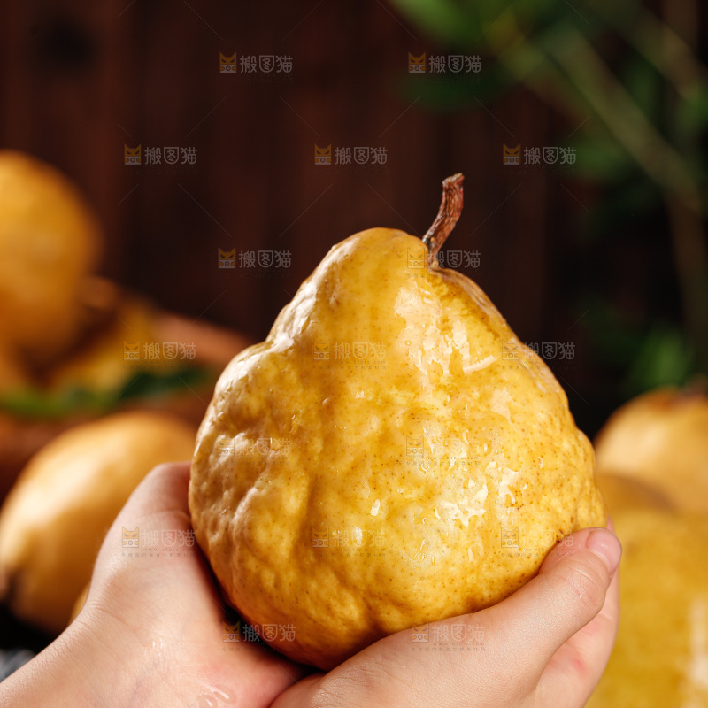 深底上的丑梨