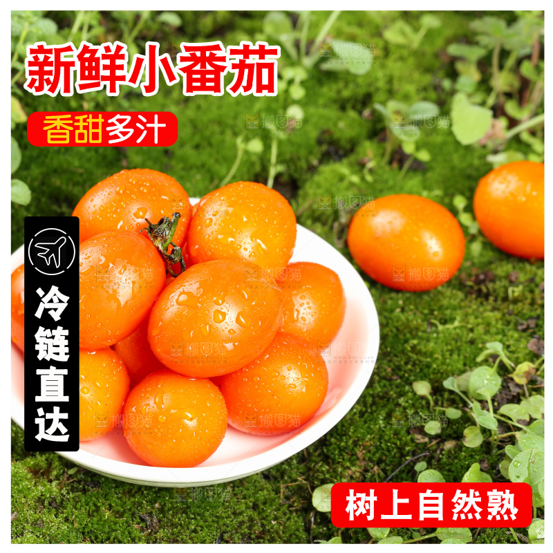 浅底上的小番茄