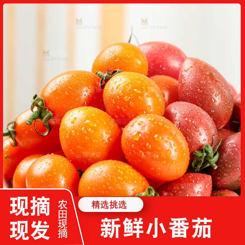 浅底上的小番茄
