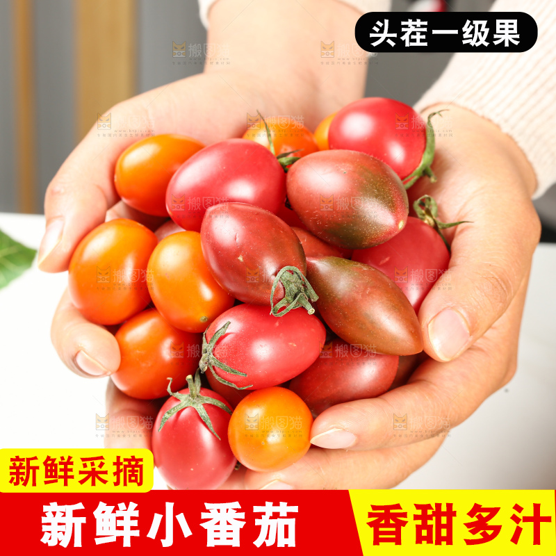 浅底上的小番茄