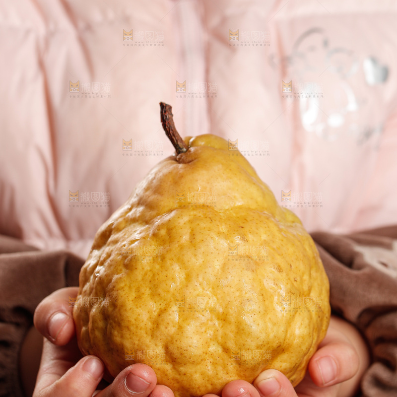 深底上的丑梨