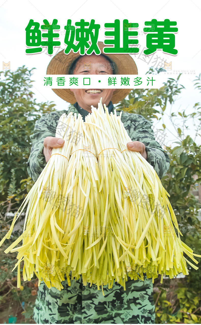 鲜嫩韭黄详情页