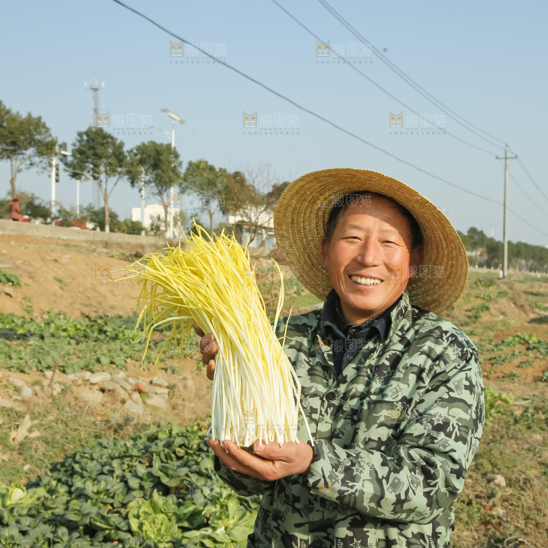手里拿的韭黄