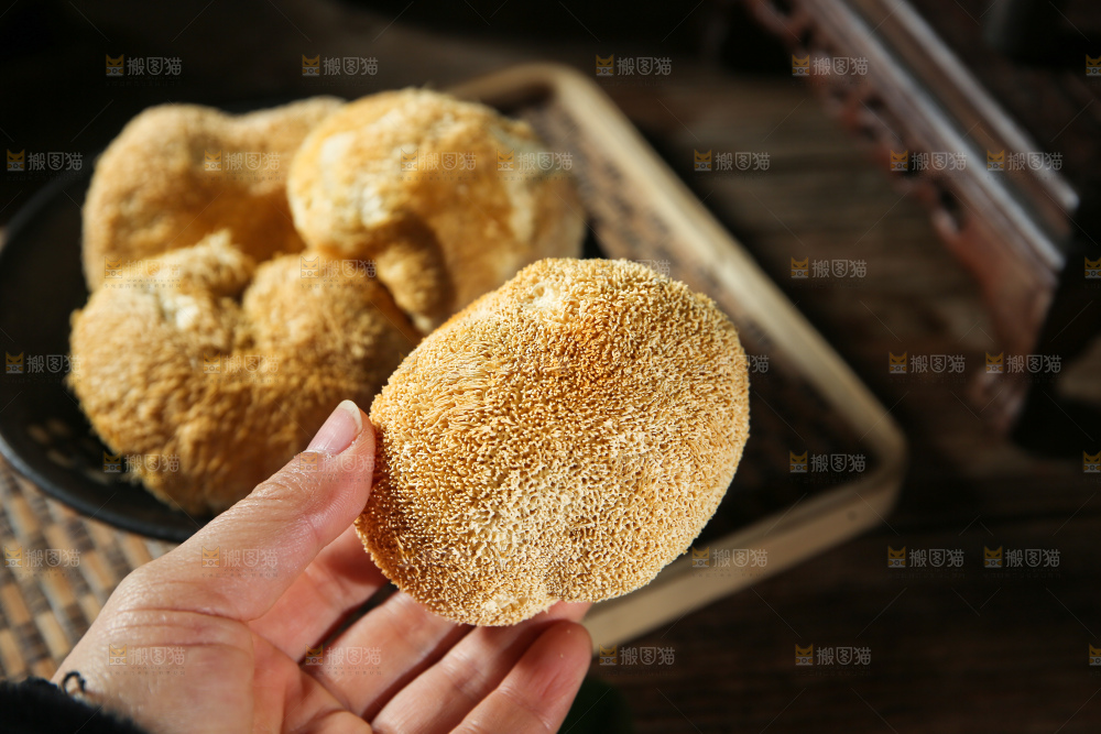 深底上的猴头菇