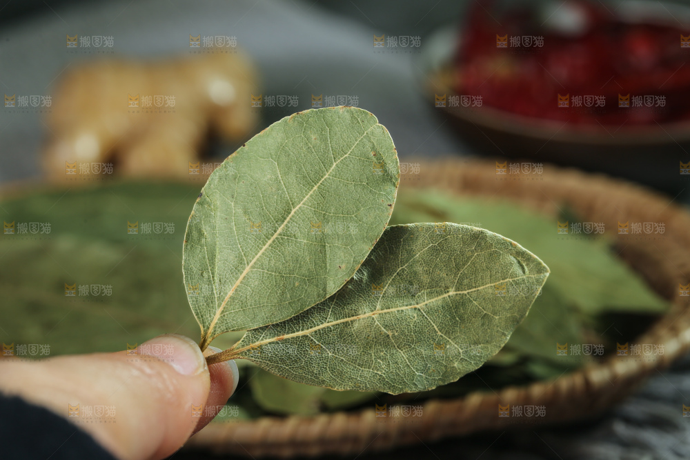 深底上的香叶