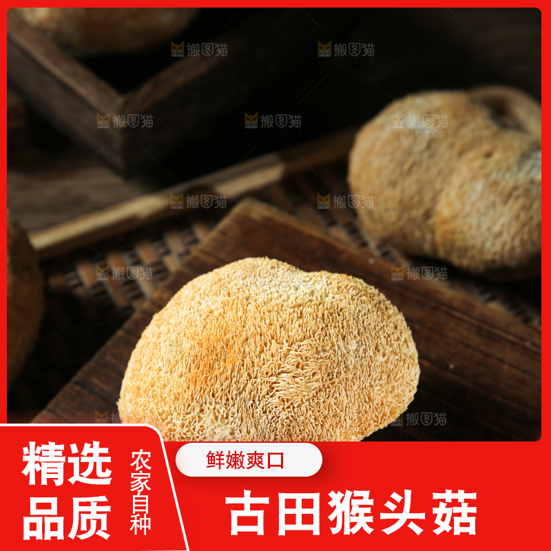深底上的猴头菇