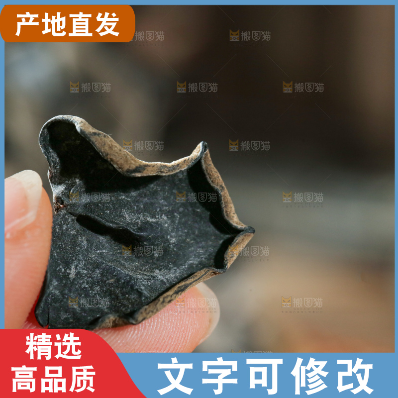 深底上的黑木耳