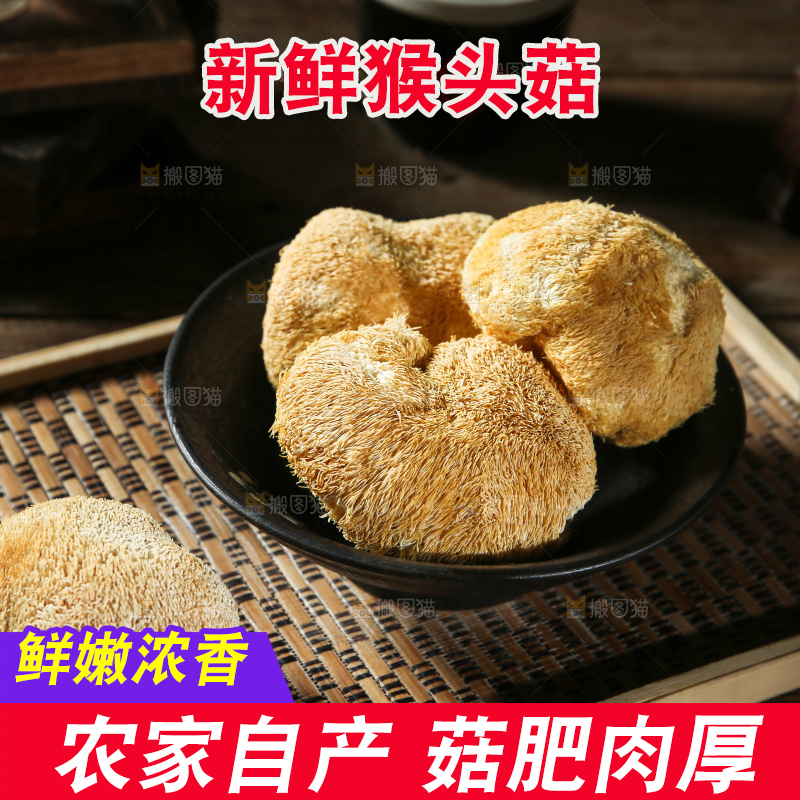 深底上的猴头菇