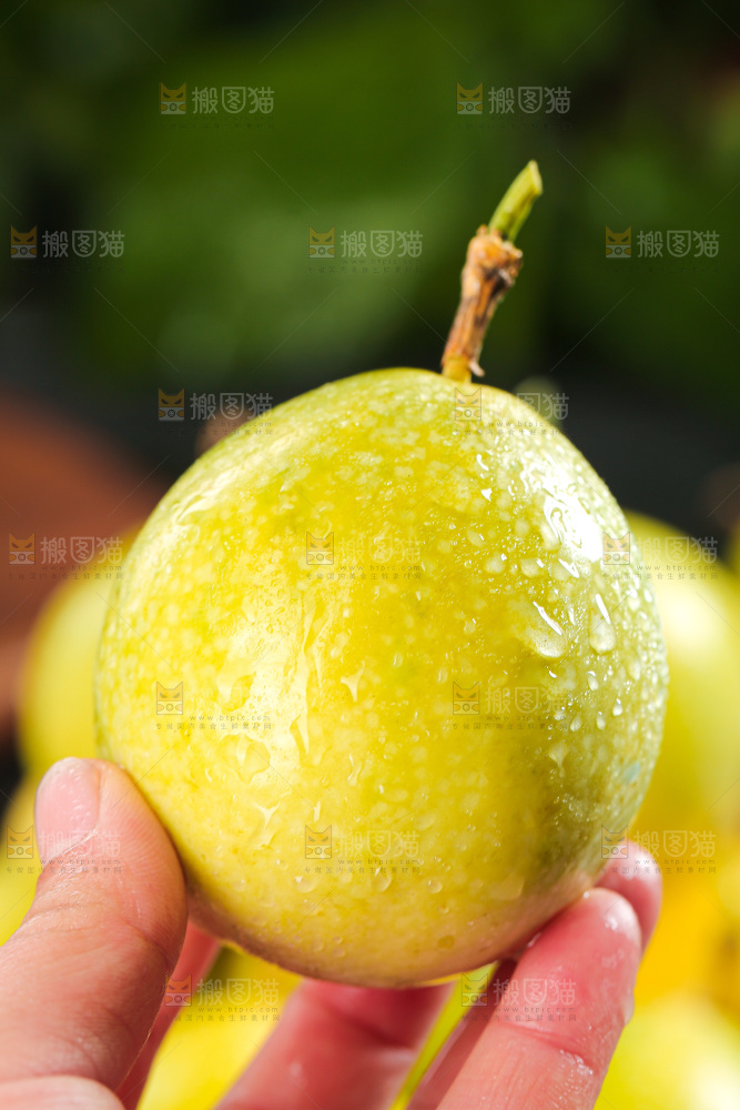 深色底上的百香果
