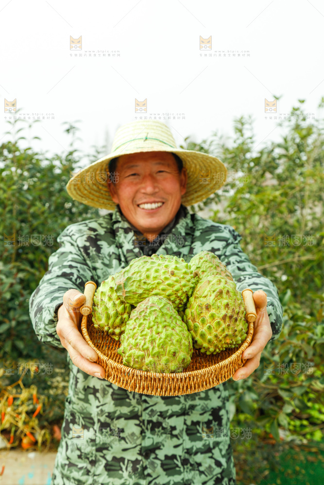 筐子里装的释迦果
