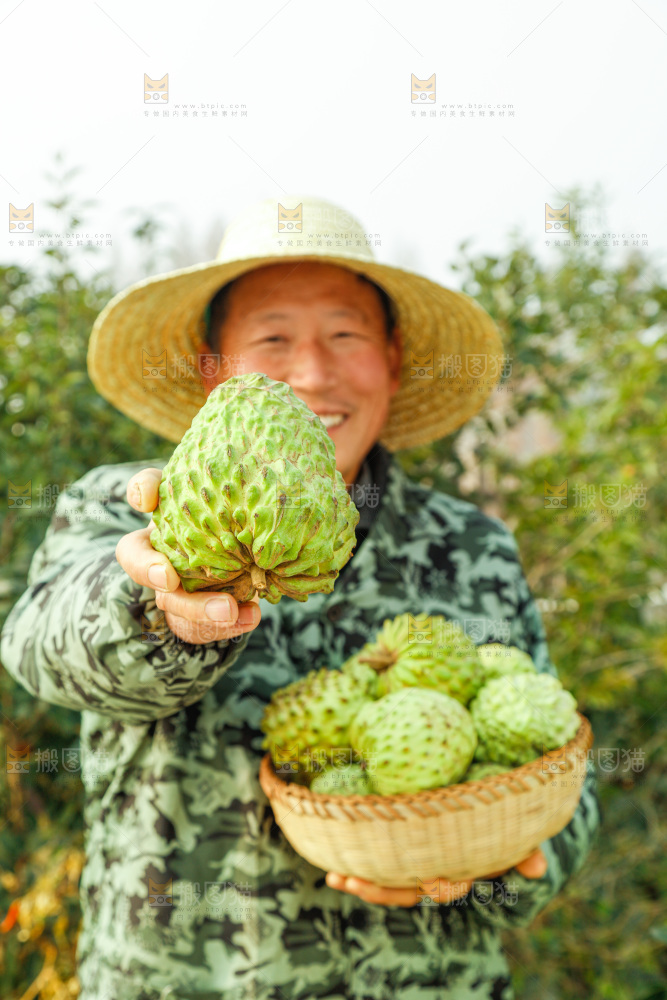 筐子里装的释迦果