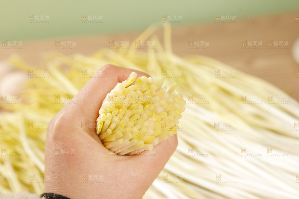 浅底上的韭黄