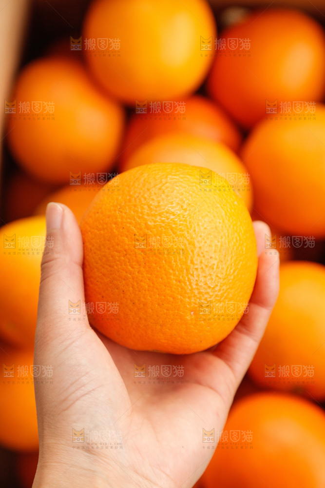 新鲜血橙