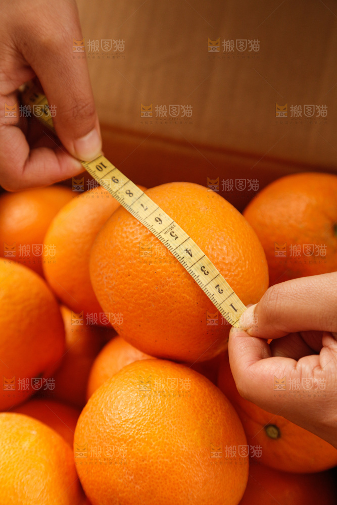 新鲜血橙