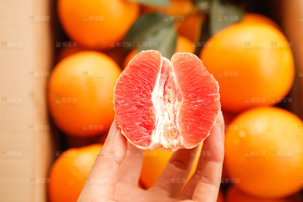 新鲜血橙