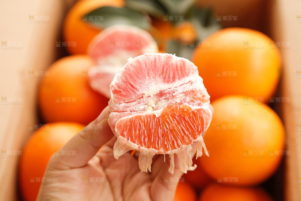 新鲜血橙