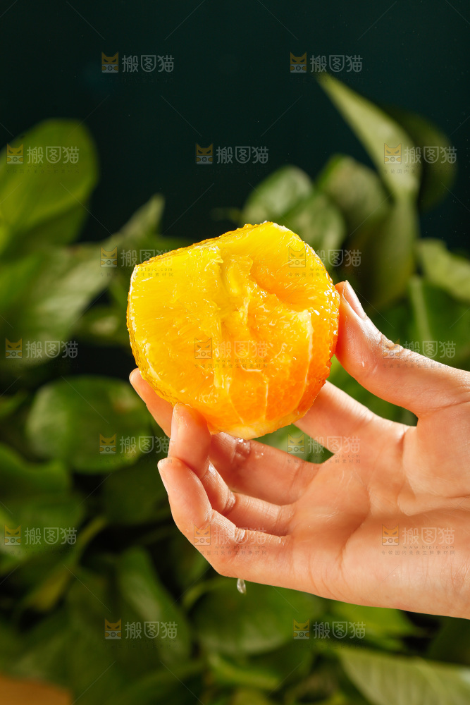 脐橙