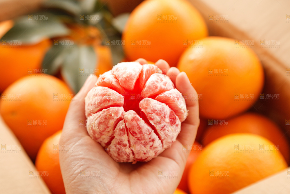 新鲜血橙