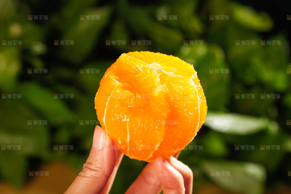 深底上的脐橙