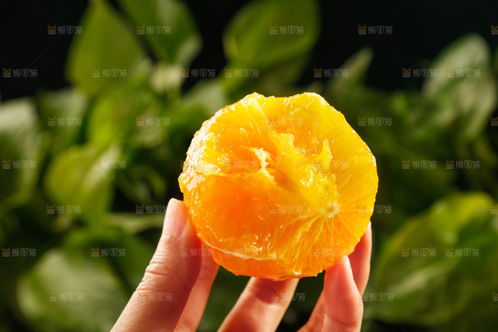 深底上的脐橙