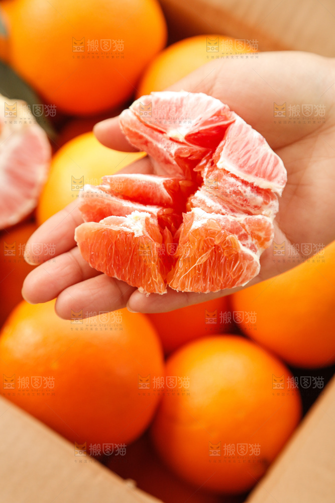 新鲜血橙