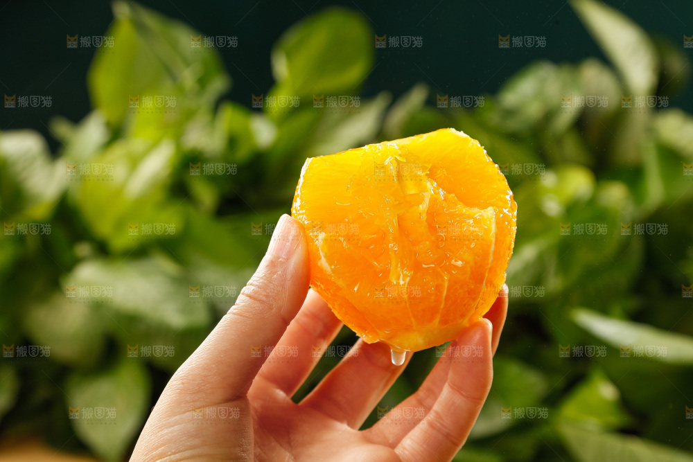深底上的脐橙