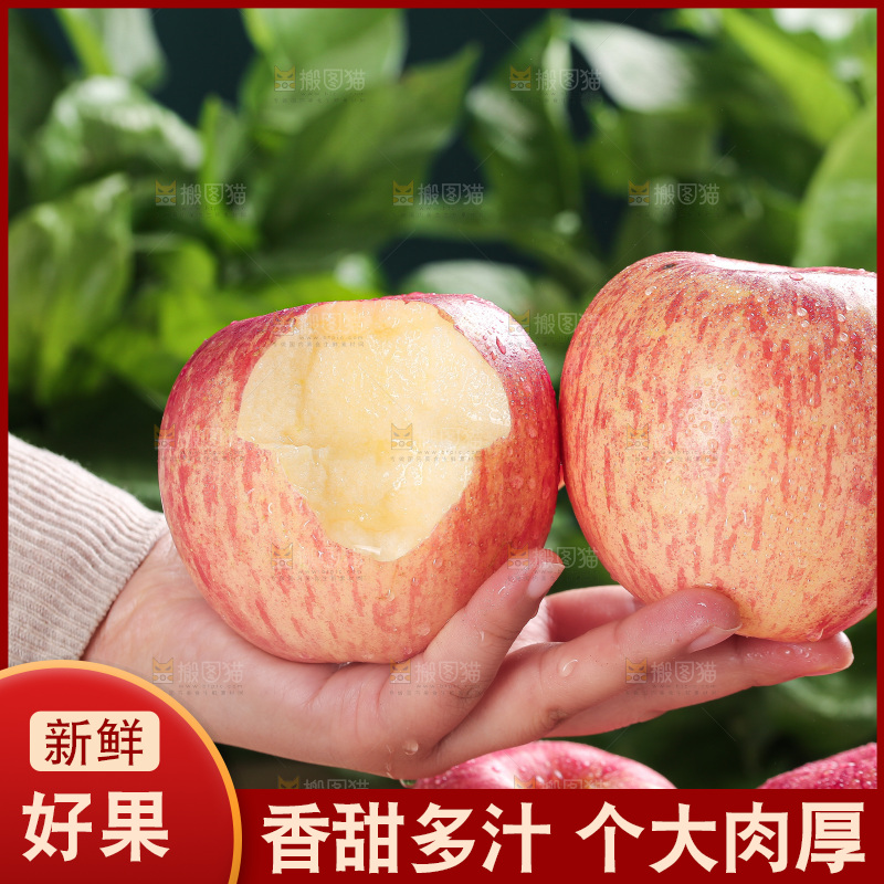 浅底上的红富士苹果