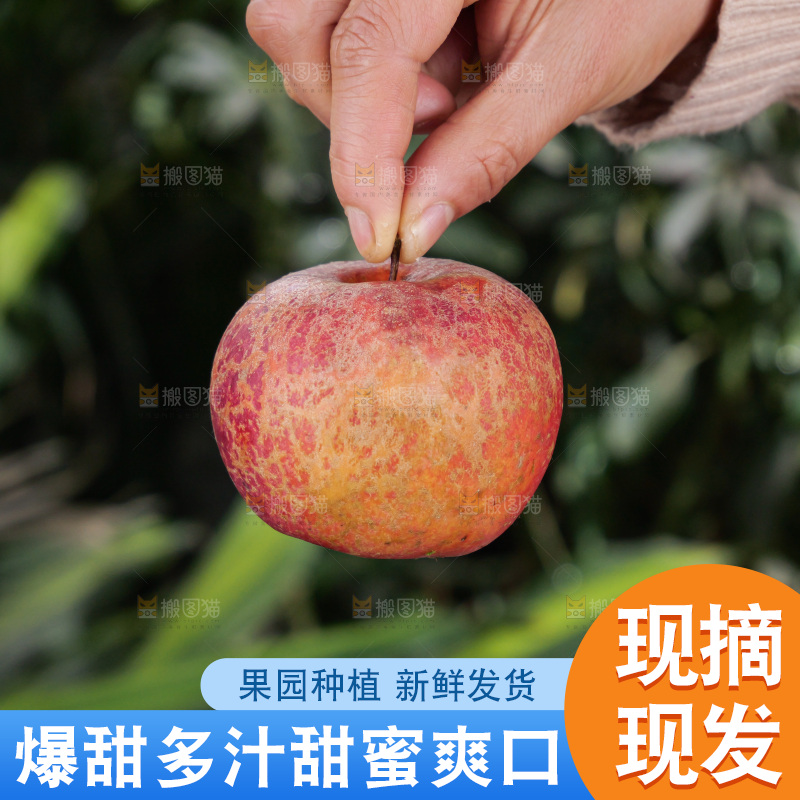 深底上的丑苹果
