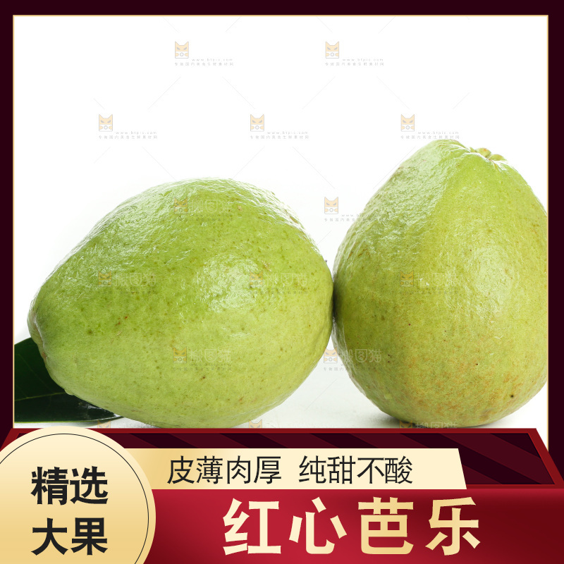 白底上的红心芭乐