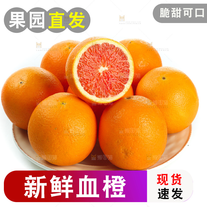 白底上的血橙