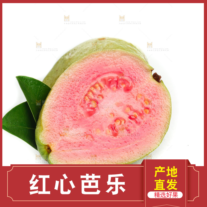 白底上的红心芭乐