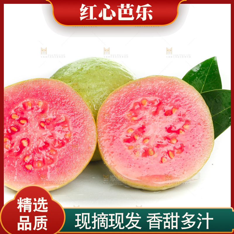 白底上的红心芭乐