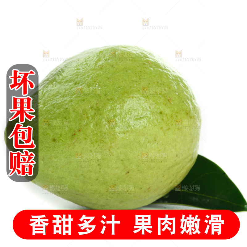 白底上的红心芭乐