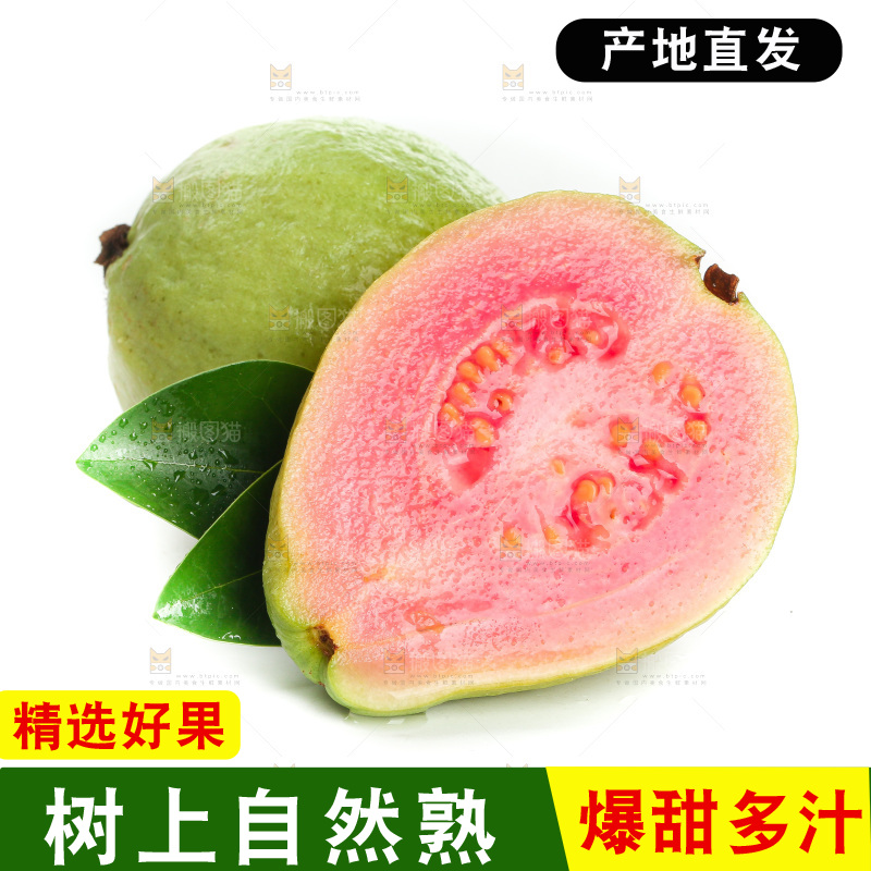 白底上的红心芭乐