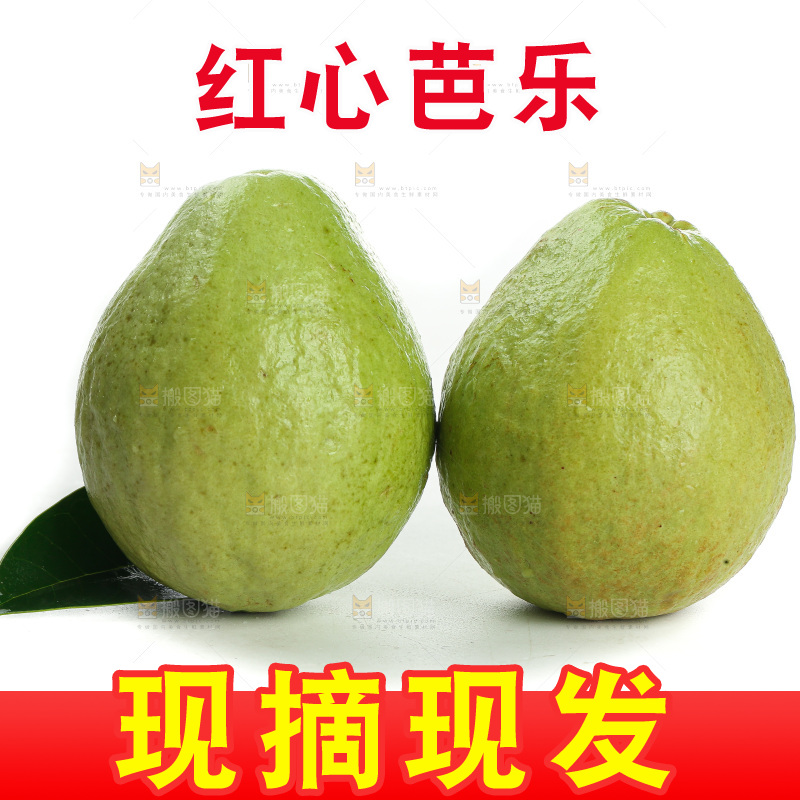 白底上的红心芭乐