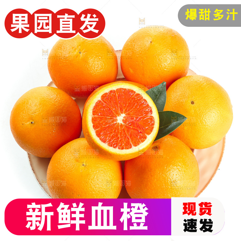白底上的血橙