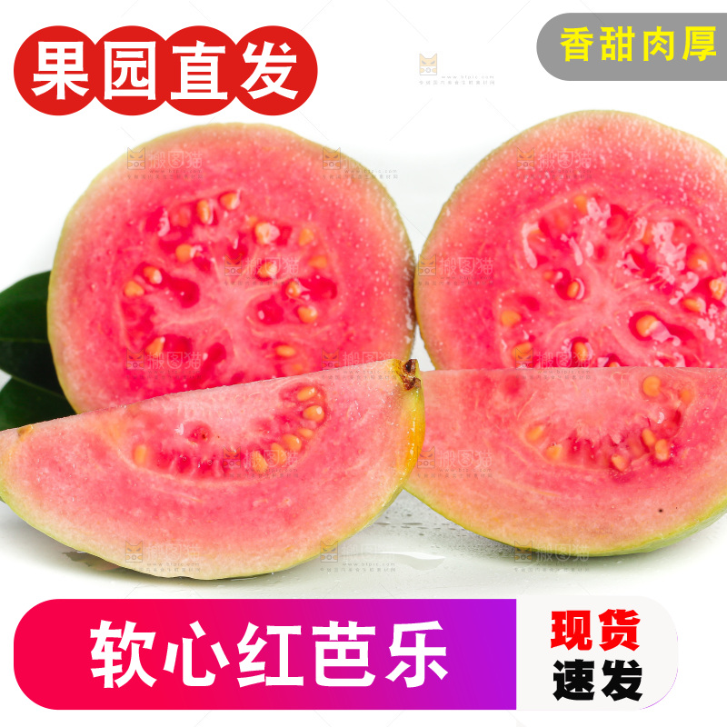 白底上的红心芭乐