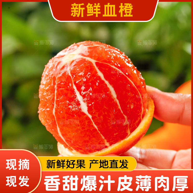 浅底上的血橙