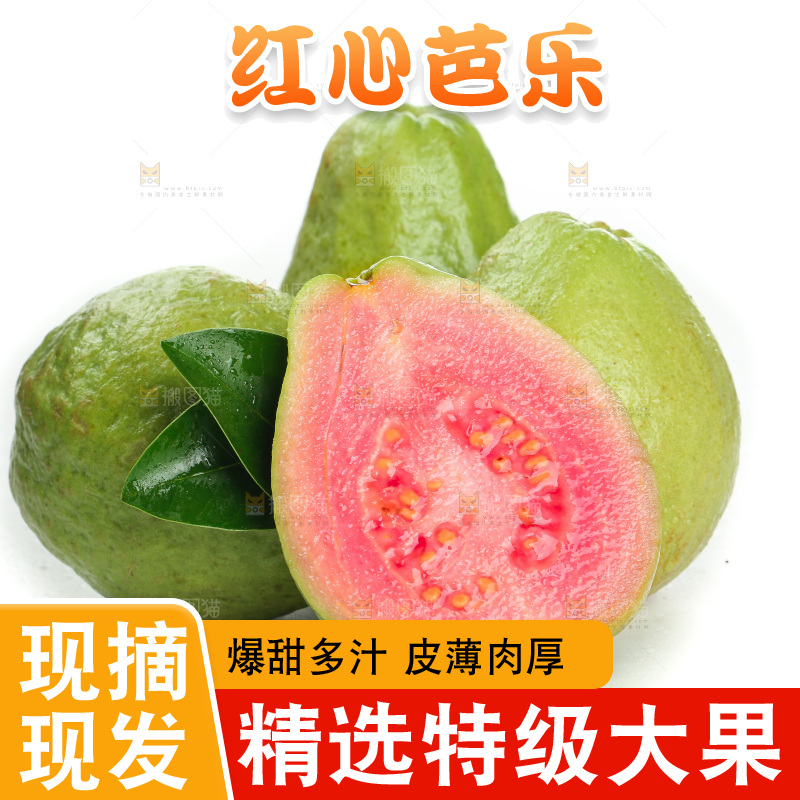 白底上的红心芭乐