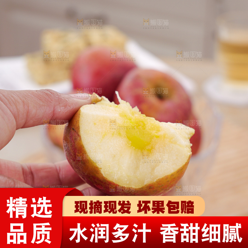 浅底上丑苹果