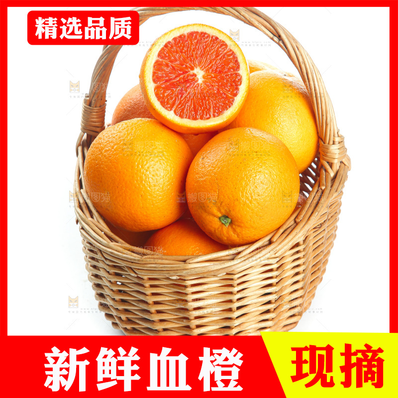 白底上的血橙