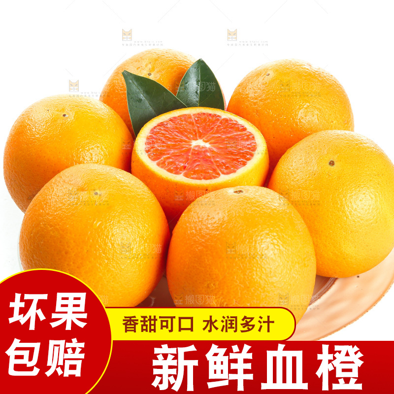 白底上的血橙