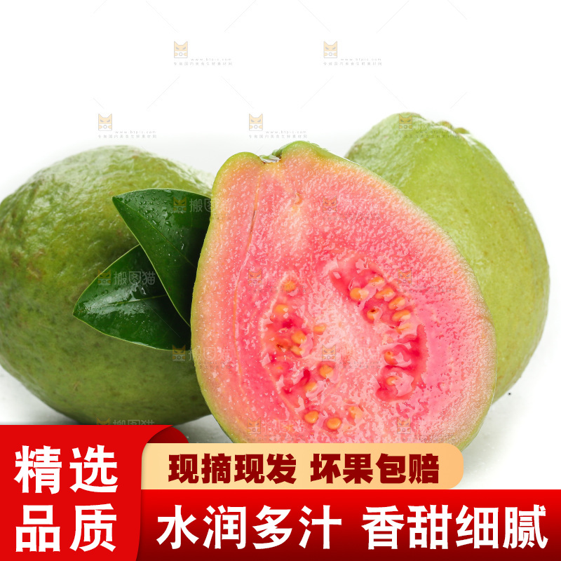 白底上的红心芭乐