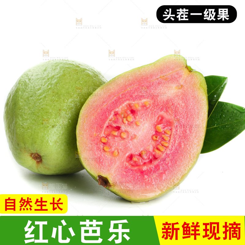 白底上的红心芭乐